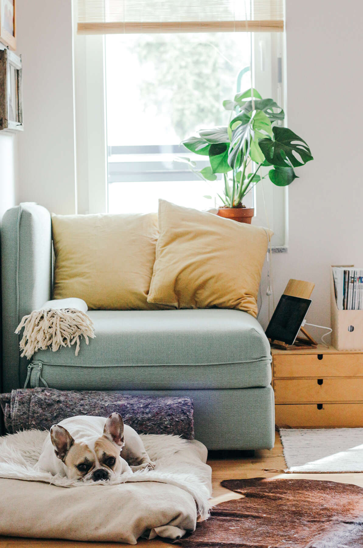 Description de l’image